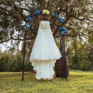 Beautiful wedding dress!